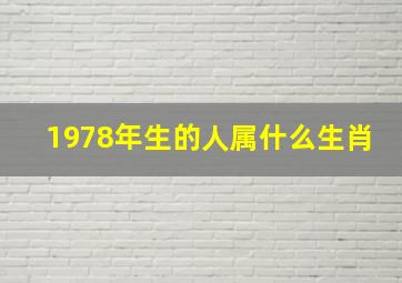 1978年生的人属什么生肖