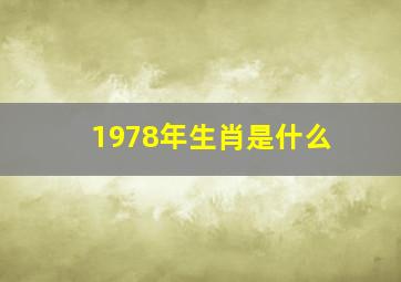 1978年生肖是什么