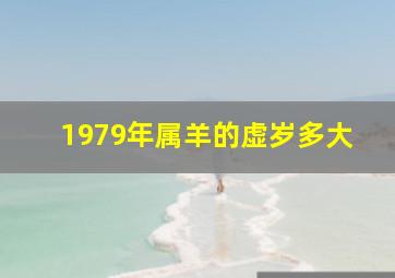 1979年属羊的虚岁多大