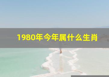 1980年今年属什么生肖