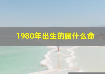 1980年出生的属什么命