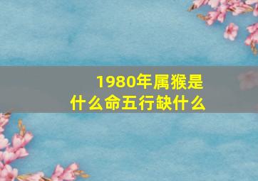 1980年属猴是什么命五行缺什么