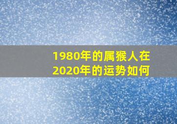 1980年的属猴人在2020年的运势如何