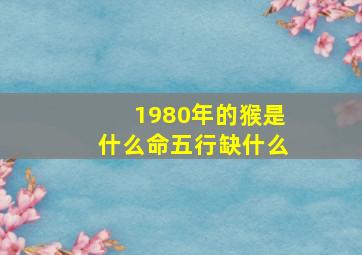 1980年的猴是什么命五行缺什么