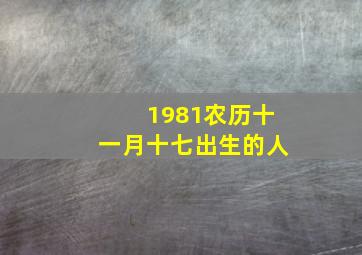 1981农历十一月十七出生的人