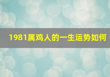 1981属鸡人的一生运势如何