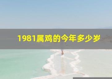 1981属鸡的今年多少岁