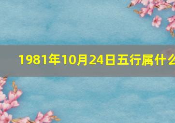 1981年10月24日五行属什么