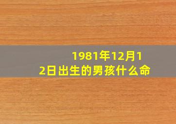 1981年12月12日出生的男孩什么命