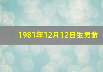 1981年12月12日生男命