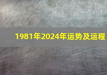 1981年2024年运势及运程