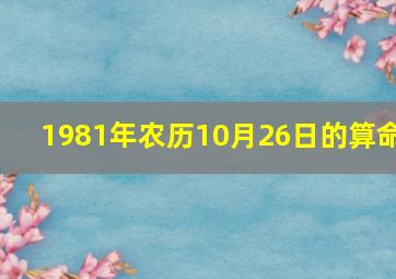 1981年农历10月26日的算命