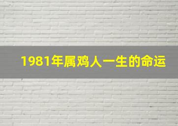 1981年属鸡人一生的命运