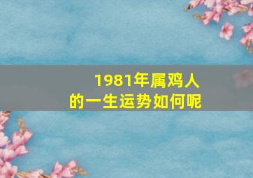 1981年属鸡人的一生运势如何呢