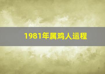 1981年属鸡人运程