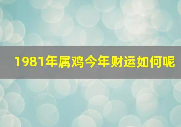 1981年属鸡今年财运如何呢