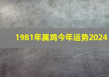 1981年属鸡今年运势2024