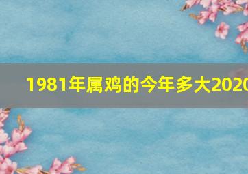 1981年属鸡的今年多大2020