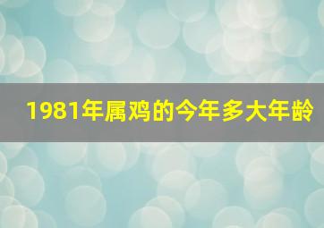 1981年属鸡的今年多大年龄