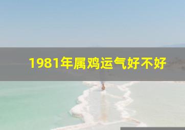 1981年属鸡运气好不好