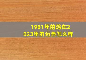 1981年的鸡在2023年的运势怎么样