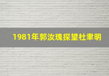 1981年郭汝瑰探望杜聿明