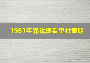 1981年郭汝瑰看望杜聿明