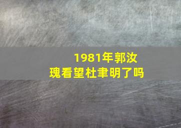 1981年郭汝瑰看望杜聿明了吗