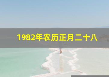 1982年农历正月二十八