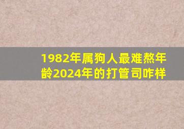 1982年属狗人最难熬年龄2024年的打管司咋样