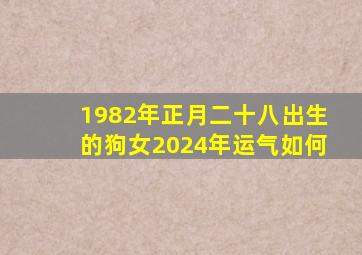 1982年正月二十八出生的狗女2024年运气如何