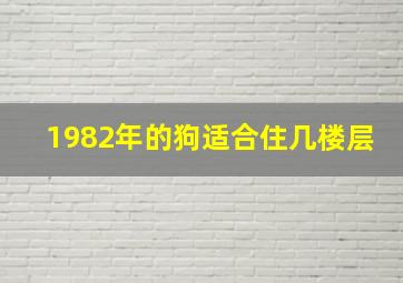 1982年的狗适合住几楼层