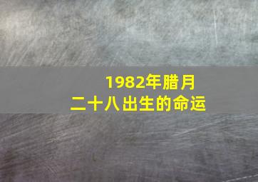 1982年腊月二十八出生的命运