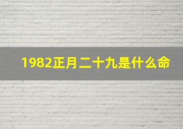 1982正月二十九是什么命