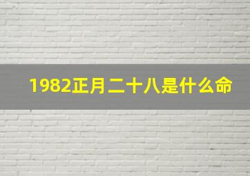 1982正月二十八是什么命