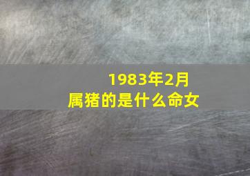 1983年2月属猪的是什么命女