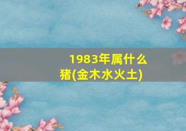 1983年属什么猪(金木水火土)