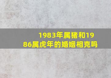 1983年属猪和1986属虎年的婚姻相克吗