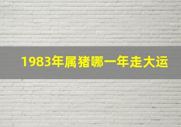 1983年属猪哪一年走大运