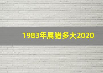 1983年属猪多大2020