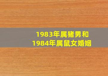 1983年属猪男和1984年属鼠女婚姻