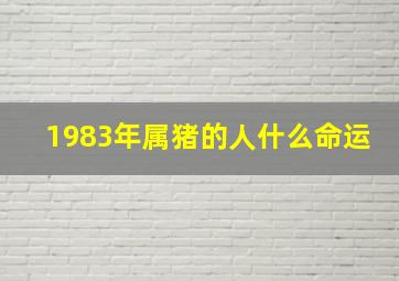 1983年属猪的人什么命运