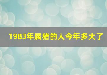 1983年属猪的人今年多大了