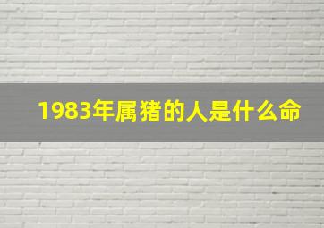 1983年属猪的人是什么命