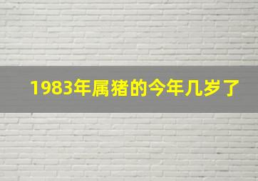 1983年属猪的今年几岁了