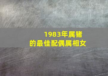 1983年属猪的最佳配偶属相女