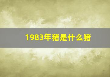 1983年猪是什么猪