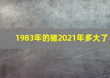 1983年的猪2021年多大了