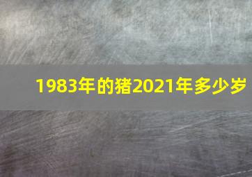 1983年的猪2021年多少岁