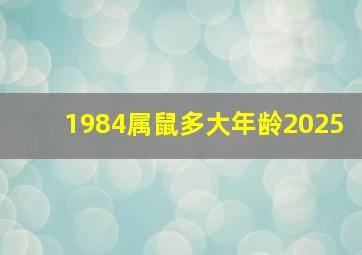 1984属鼠多大年龄2025